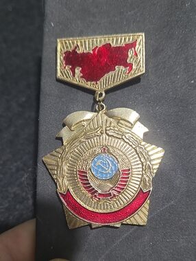 Vintage Soviet Union USSR Service Pin 50 Years